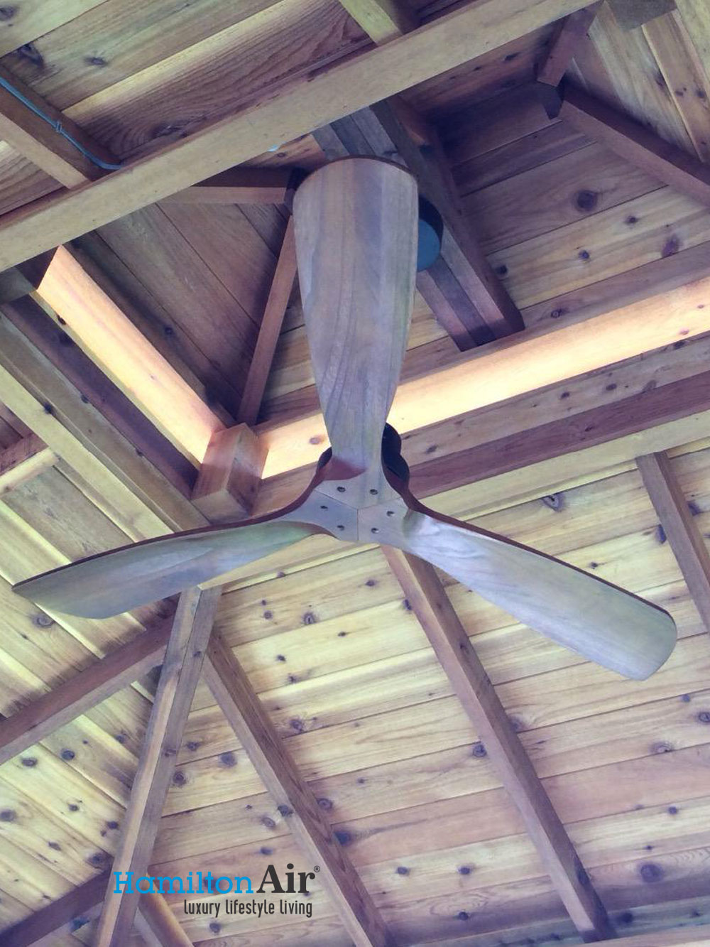 Đang tìm kiếm xu hướng quạt trần mới cho ngôi nhà của bạn? Quạt trần cánh gỗ đang là một trong những xu hướng hot nhất hiện nay, không chỉ giúp làm mát phòng mà còn tạo điểm nhấn nghệ thuật trong không gian sống.